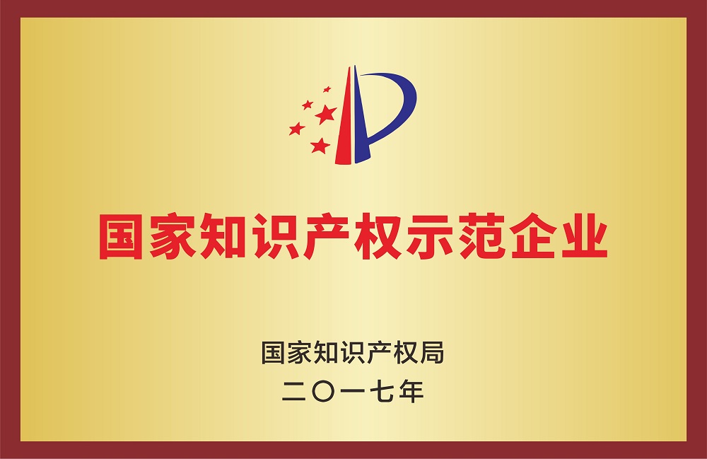 國家知識產(chǎn)權(quán)示范企業(yè)